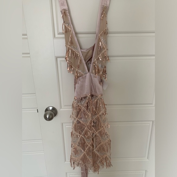 COPY - BNWT Bella Barnett Louisa Mini Dress Champagne Sz S - Picture 4 of 6